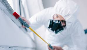 Best Pest Prevention Services  in Jackson, MO